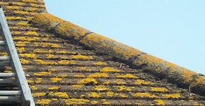 Before roof cleaning in Bromley